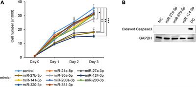 MicroRNA-124-3p Plays a Crucial Role in Cleft Palate Induced by Retinoic Acid